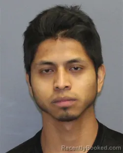 Mugshot of HONORIO NAVA GREGORIO