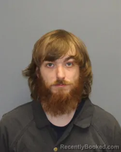 Mugshot of DAMIEN GEORGE