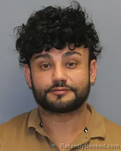 Mugshot of NICHOLAS ALEJANDRO ARAYA-COLLARTE