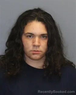 Booking photo from Frederick County, Virginia