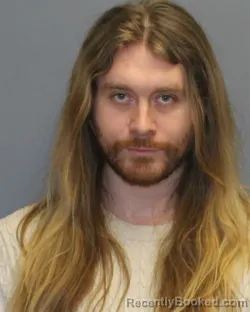 Mugshot of ANDREW WILSON LOVELESS