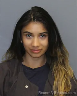 Mugshot of GINA MARIE RUIZ