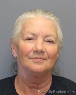 Mugshot of CYNTHIA JANE JENKINS