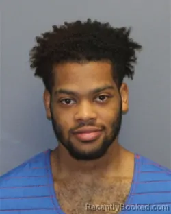 Mugshot of JARED AARON HAUSDON HOWZE