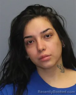 Mugshot of REBECCA CASTELLANOS