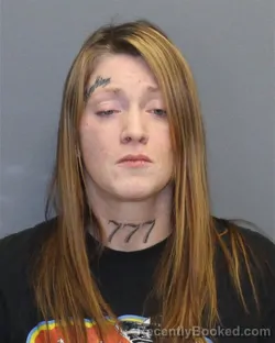 Mugshot of CALIE JO WILFONG booked in Frederick County, Virginia on March 17, 2026