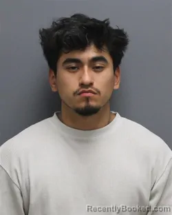 Mugshot of DENNIS LIONEL BERCIAN booked in Frederick County, Virginia on March 20, 2026