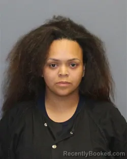 Mugshot of WHITNEY SIERRA JOHNSON booked in Frederick County, Virginia on March 20, 2026