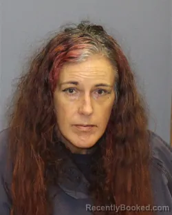 Mugshot of TERESA YVONNE TUFANO booked in Frederick County, Virginia on March 23, 2026