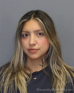 Mugshot of AMELIA ARRIAGA MELCHOR booked in Frederick County, Virginia on March 28, 2026