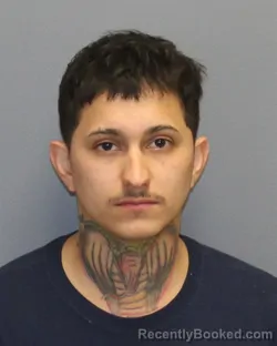 Mugshot of ANGEL VELASQUEZ-LINARES booked in Frederick County, Virginia on April 8, 2026