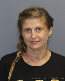 Mugshot of DAWN WILEY booked in Frederick County, Virginia on April 24, 2026