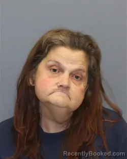 Mugshot of TINA MARIE CROCKER booked in Frederick County, Virginia on April 28, 2026