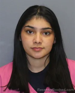 Booking photo from Frederick County, Virginia