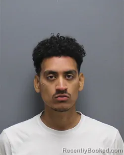 Mugshot of DAYRON CANALES booked in Frederick County, Virginia on June 1, 2026