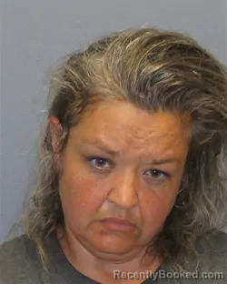Mugshot of SUSAN MICHELLE SMITH booked in Frederick County, Virginia on June 2, 2026