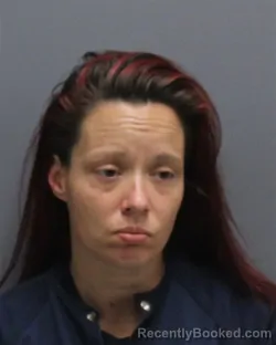 Mugshot of TARA DANIELLE LANDIS booked in Frederick County, Virginia on June 3, 2026