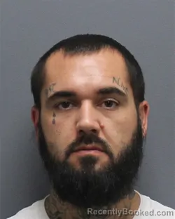 Mugshot of BRIAN LEE HOWES booked in Frederick County, Virginia on June 22, 2026