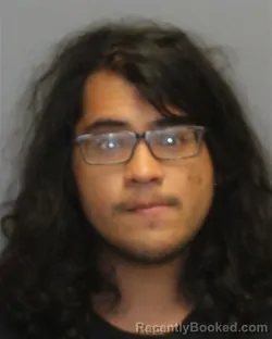 Mugshot of ERIK ALEXANDER HERRERA booked in Frederick County, Virginia on June 23, 2026
