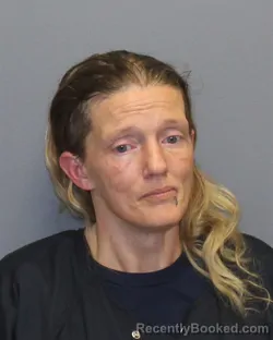 Mugshot of Heather Lynn Jacques booked in Frederick County, Virginia on July 29, 2026