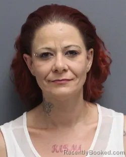 Mugshot of Brandy Lynn Knight booked in Frederick County, Virginia on August 8, 2026