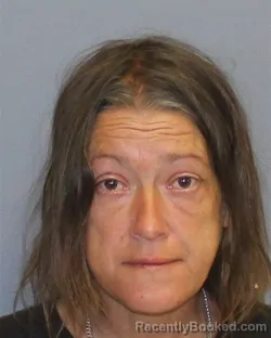 Mugshot of Suzanna Sturdivant-Shanburg booked in Frederick County, Virginia on August 8, 2026