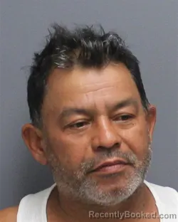 Mugshot of Javier Trejo booked in Frederick County, Virginia on August 15, 2026