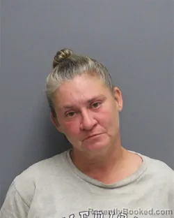 Mugshot of Jessica Michelle Sherfield booked in Frederick County, Virginia on August 24, 2026