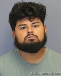 Mugshot of Nelson Emanuel Ramos booked in Frederick County, Virginia on October 17, 2026
