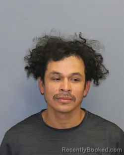 Mugshot of Allex Saul Parras Ayala booked in Frederick County, Virginia on October 22, 2026