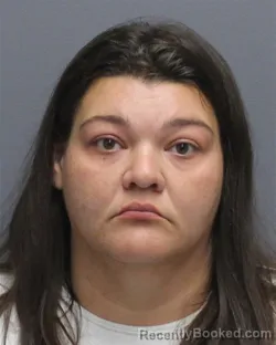 Mugshot of Ashley Nichole Mcintosh Wilson booked in Frederick County, Virginia on October 22, 2026