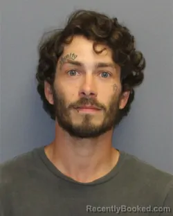 Mugshot of Michael David Colangelo booked in Frederick County, Virginia on October 25, 2026