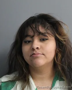 Booking photo from Erath County, Texas