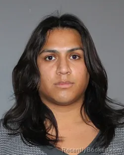 Booking photo from Erath County, Texas