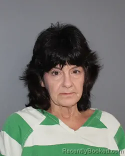 Mugshot of Jill Ann Dorsey