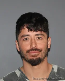 Mugshot of MIGUEL A HERRERA-ANAYA