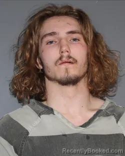 Mugshot of WALKER RAY WHITT