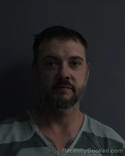 Mugshot of DALE WADE CHRISTIANSON