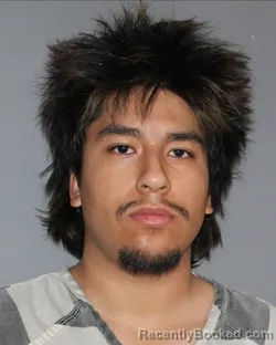 Mugshot of EDGAR SANCHEZ