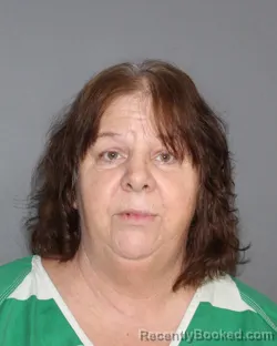 Mugshot of MEREDITH ELAINE WELLS