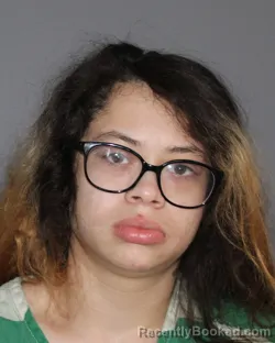 Mugshot of CARMIN CARRASQUILLO