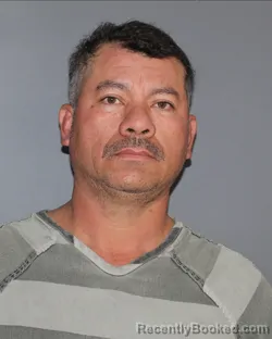 Mugshot of JOSE REYNALDO CARBAJAL