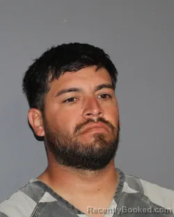 Mugshot of MANUEL SANCHEZ
