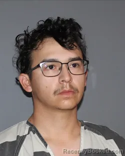 Mugshot of JASON TYLER HEAD