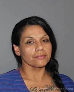 Mugshot of CINDY FLORES booked in Erath County, Texas on March 22, 2026