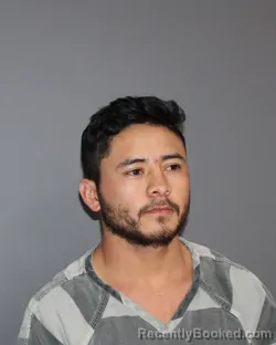 Mugshot of Roni Roman-Heredaa booked in Erath County, Texas on March 29, 2026