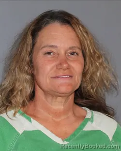 Mugshot of LORI DANELLE STEPHENS booked in Erath County, Texas on April 1, 2026