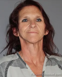 Mugshot of NELDA JUANITA HANNON booked in Erath County, Texas on April 2, 2026