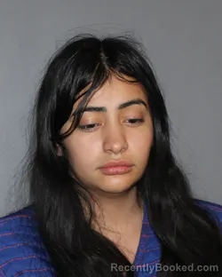 Mugshot of LORENA YAMILETH MIRANDA booked in Erath County, Texas on April 3, 2026