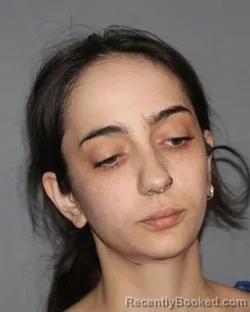 Mugshot of RAEGAN JOHNSON booked in Erath County, Texas on April 4, 2026